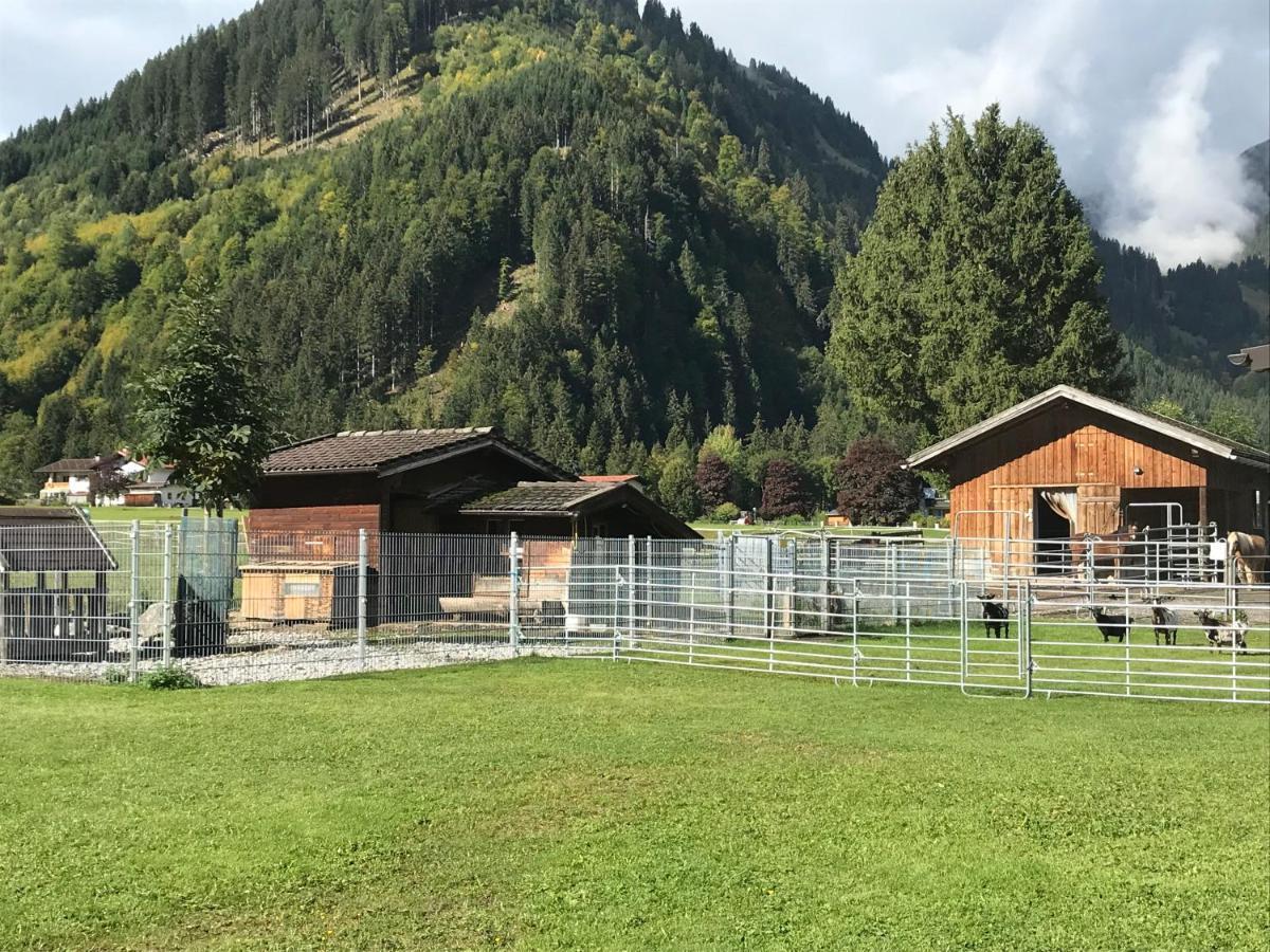 Apartamento Pony-Ziegen-Hasen-Ranch Bichlbach Exterior foto