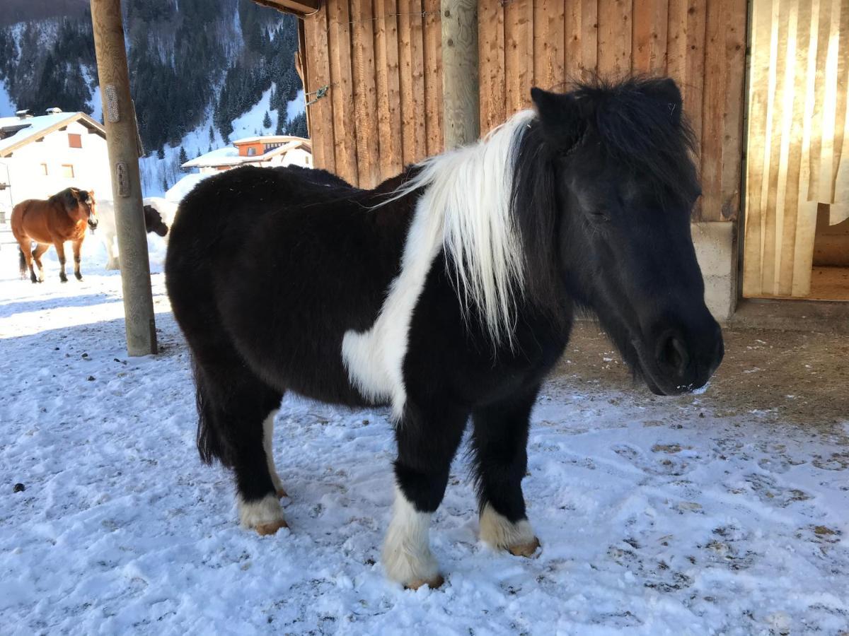 Apartamento Pony-Ziegen-Hasen-Ranch Bichlbach Exterior foto