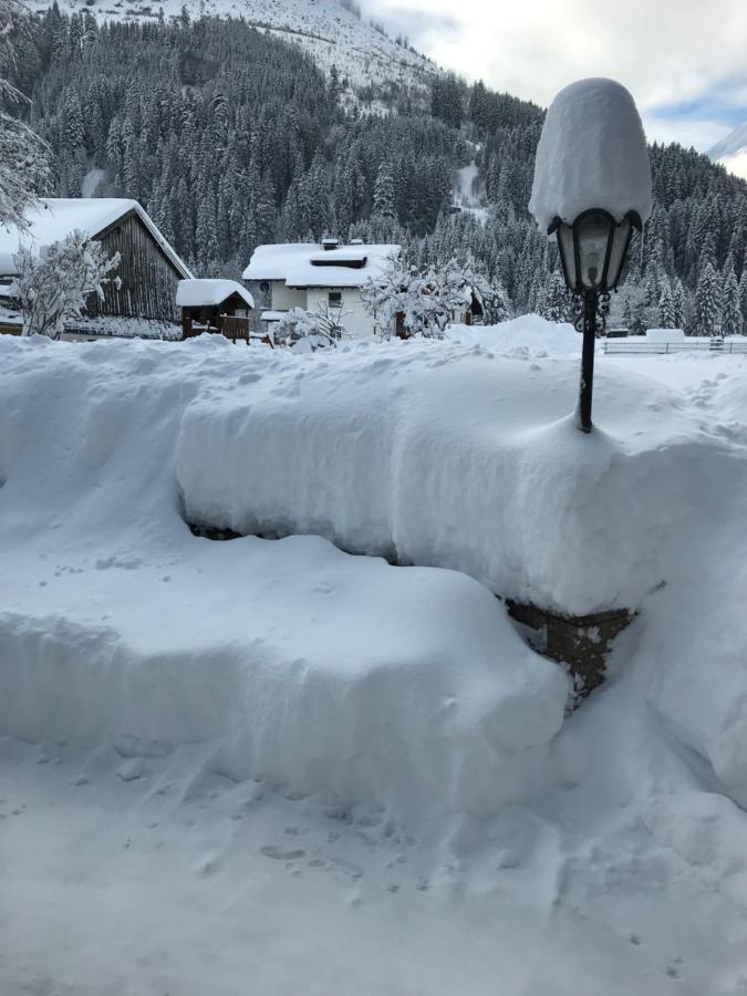 Apartamento Pony-Ziegen-Hasen-Ranch Bichlbach Exterior foto